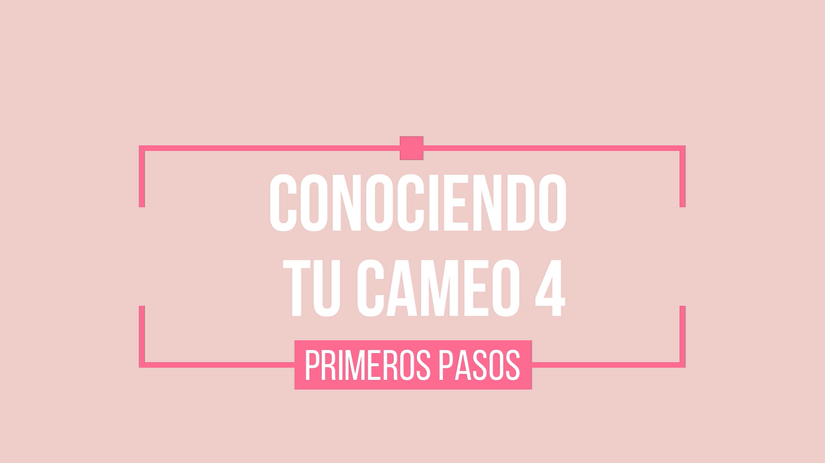 3. CONOCIENDO TU CAMEO